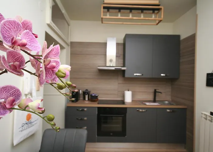 Casa Vacanze Oikia - Room Orchidea